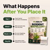 RV Mouse Repellent Pouches - 90-Day RV Storage Protection