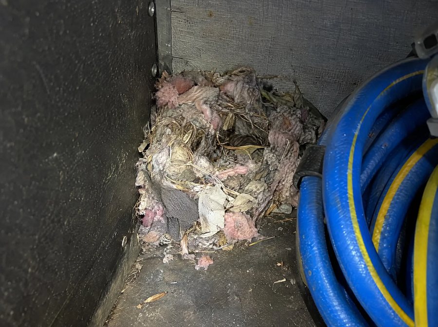 A nest of insulation in an RV storage bay
