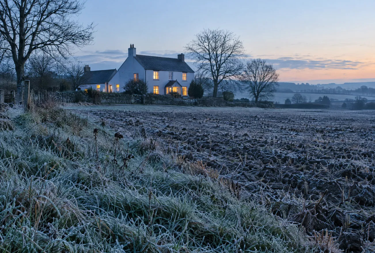 First frost on a field at dawn behind a white farmhouse